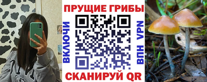 Галлюциногенные грибы мухоморы  Дегтярск 